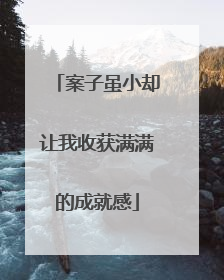 案子虽小却让我收获满满的成就感